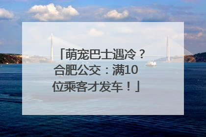 萌宠巴士遇冷？合肥公交：满10位乘客才发车！